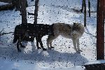 012_2009-0214-1401-37.jpg